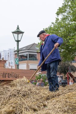 Barneveld, Hollanda - 1 Ağustos 2024: Hollanda 'nın Barneveld Gelderland eyaletinde yaz aylarında geleneksel Veluwe pazarında tahıl ve saman hasadı gösterimi