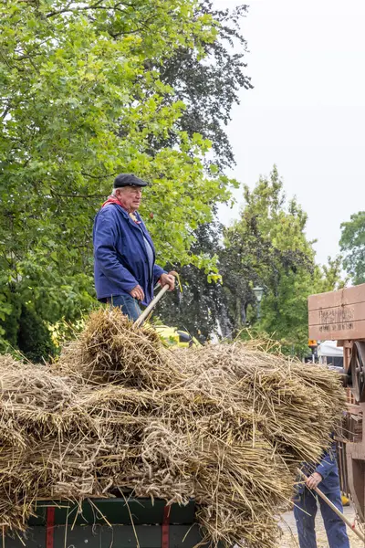 stock image Barneveld, The Netherlands - August 1, 2024: Demonstration of harvest of grain and straw at traditional Veluwe market during the summer months in Barneveld Gelderland province in The Netherlands