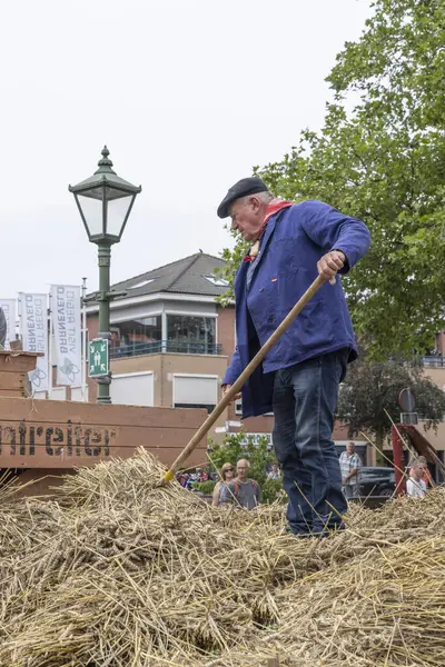 Barneveld, Hollanda - 1 Ağustos 2024: Hollanda 'nın Barneveld Gelderland eyaletinde yaz aylarında geleneksel Veluwe pazarında tahıl ve saman hasadı gösterimi