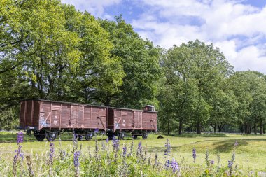 Westerbork, Hollanda - 15 Haziran 2024: Hollanda Drenthe Eyaleti 'ndeki Westerbork İkinci Dünya Savaşı Müzesi Westerbork Ulusal Anıtı' nda Yahudileri Auschwitz Birkenau 'ya götürmek için vagon treni.