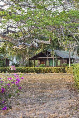 Orta Amerika 'daki Kosta Rika' nın pasifik kıyılarındaki Puntarenas bölgesindeki güzel doğanın ortasında ekoloklar