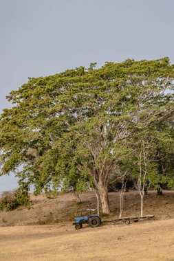 Orta Amerika 'daki Kosta Rika' nın Pasifik Sahili 'ndeki güzel doğanın ortasında ekologlar
