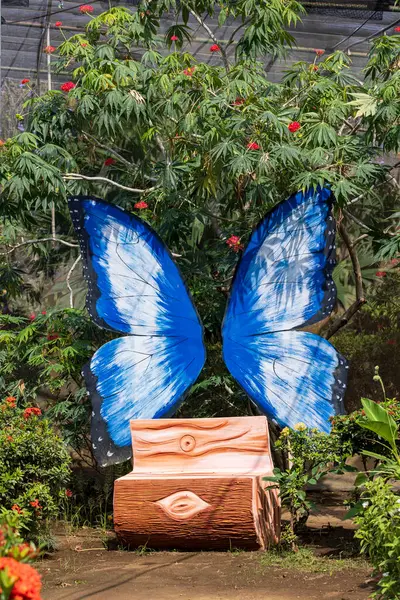 Ometepe, Nikaragua - 22 Mart 2024: Nikaragua 'daki Ometepe Adası' nda bulunan Charco Verde Park ve Butterfly 'da mavi kanat ve bank. Vahşi yaşam ve küçük göldeki küçük doğa parkı.