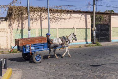 Granada, Nikaragua - 19 Mart 2024: Nikaragua Orta Amerika 'daki Nikaragua Cocibolca Gölü kıyısındaki Granada' da at ve araba