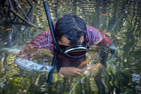 stock image Las Penitas, Nicaragua - March 17, 2024: Fisherman fishing by hand with a harpoon in Venado island nature reserve in Nicaragua Central America