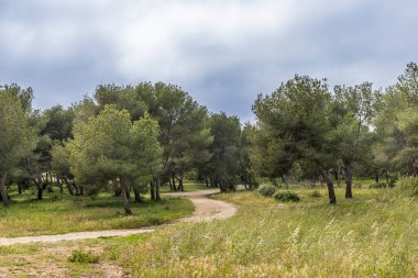 Fransa 'nın Alpes-Cote dAzur bölgesindeki Martigues kıyısı boyunca doğa parkı