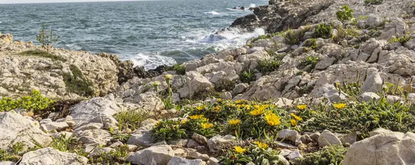 Fransa 'da Martigues Alpes-Cote dAzur bölgesinin sert kıyı şeridi