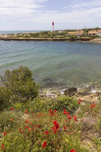 Fransa 'nın Alpes-Cote dAzur bölgesindeki Martigues' de Phare de Cap Couronne 'da kır çiçekleri ve deniz feneri kaptanı tacıyla manzara