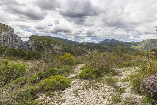 Fransa 'nın Provence kentindeki Büyük Kanyon Aiguinlerinden Manzaralı Gorges du Verdon.