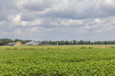 Önünde büyük bir ahır, yel değirmeni ve tarımsal patates arazisi olan modern Hollanda çiftliği