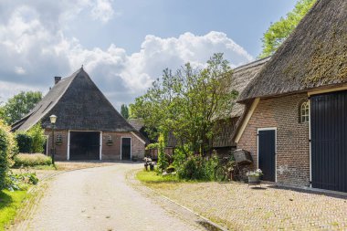 Hollanda, Drenthe 'deki Gees al küçük köyünde sazdan çatıları olan Pictoresk geleneksel çiftlik evi.