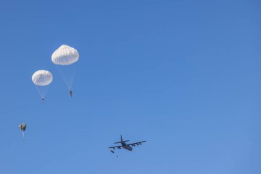 Hollanda 'nın Ede kentindeki Ginkel fundalığında her yıl düzenlenen Pazar Bahçesi geçit töreni