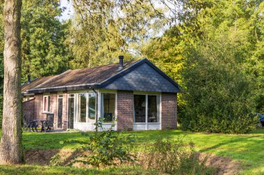 Hollanda 'nın Drenthe eyaletindeki doğal yeşil sonbahar ortamında küçük bir kulübe.