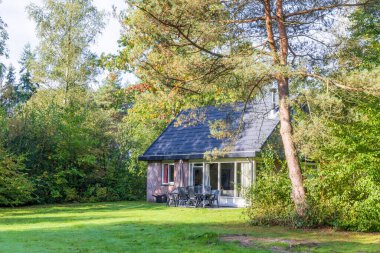Hollanda 'nın Drenthe eyaletindeki doğal yeşil sonbahar ortamında küçük bir kulübe.