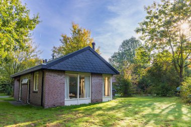 Hollanda 'nın Drenthe eyaletindeki doğal yeşil sonbahar ortamında küçük bir kulübe.