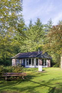 Hollanda 'nın Drenthe eyaletinde doğal yeşil sonbahar ortamında küçük kulübeler.