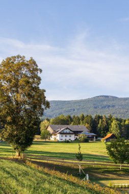 Avusturya 'da Stiermarken (Steiermark) kırsalındaki çiftlik evi