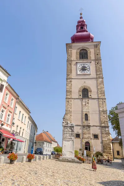 Ptuj, Slovenya - 4 Eylül 2024: Slovenya 'nın Styria bölgesindeki Ptuj kentinde barok soğan kulesi
