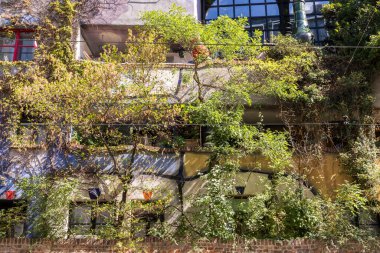 Avusturya, Viyana 'da ağaçlar, çalılar ve tırmanma tesisleriyle kaplı Hundertwasser evi
