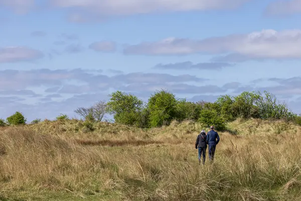 Hollanda 'daki Wadden Adası Schiermonnikoog' da doğa bölgesinde yürüyen bir çift.