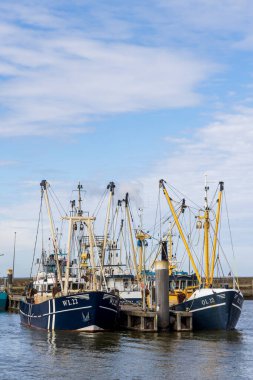 Lauwersoog, Hollanda - 18 Nisan 2025: Hollanda limanı Lauwersoog 'da Hollanda' nın Groningen kentindeki Waddensea boyunca karides balıkçı tekneleri