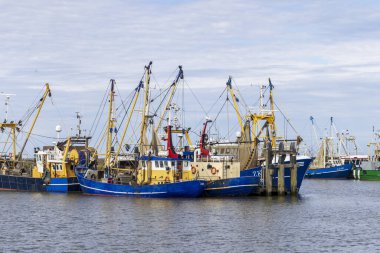 Lauwersoog, Hollanda - 18 Nisan 2025: Hollanda limanı Lauwersoog 'da Hollanda' nın Groningen kentindeki Waddensea boyunca karides balıkçı tekneleri