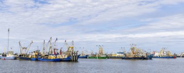 Lauwersoog, Hollanda - 18 Nisan 2025: Hollanda limanı Lauwersoog 'da Hollanda' nın Groningen kentindeki Waddensea boyunca karides balıkçı tekneleri