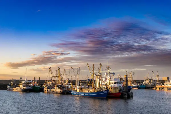 Hollanda limanı Lauwersoog 'un gün batımı manzarası Hollanda' nın Groningen kentindeki Waddensea boyunca uzanan balıkçı gemileriyle