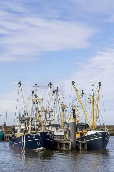 Lauwersoog, Hollanda - 18 Nisan 2025: Hollanda limanı Lauwersoog 'da Hollanda' nın Groningen kentindeki Waddensea boyunca karides balıkçı tekneleri