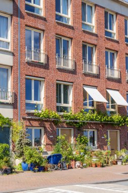 Hollanda 'nın batısındaki Güney Hollanda' daki Katendrecht Rotterdam liman şehrindeki modern şehir evlerinin önündeki saksı ve bitkilerle dolu bahçe.