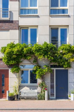 Garden with pots and plants in front of modern city houses in Katendrecht Rotterdam port city in South-Holland the west of the Netherlands