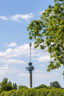 Skyline Rotterdam, Hollanda 'nın batısındaki Güney Hollanda liman şehrindeki ünlü Europole kulesine sahip.