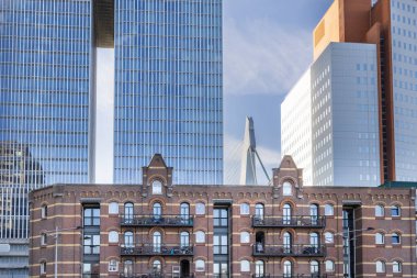Cityscape of Rotterdam with large modern ancient apartment buildings and Erasmus bridge in background, Kop van Zuid in Rotterdam port city in South-Holland the west of the Netherlands