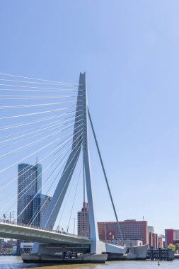 Rotterdam 'ın silueti ve Hollanda' nın güneyindeki ünlü Erasmus köprüsü.