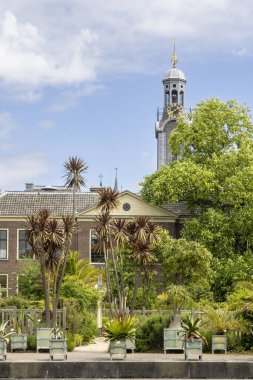 Hortus Botanicus Leiden 'ın girişindeki bahçe. Arkasında Leiden Hollanda' daki şehir kilise kulesi var.