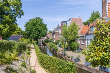 Urban greening with pots and plants in the streets of the student city Leiden in South-Holland The Netherlands