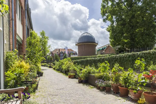 Güney Hollanda 'daki öğrenci şehri Leiden' ın tarihi gözlemevi boyunca çömlek ve bitkilerle yeşillendirilmesi Hollanda
