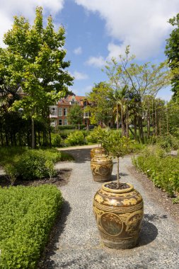 Leiden, The Netherlands - May 25, 2025: Chinese garden with beautfiul decorated pots with citrus trees in Hortus Botanicus Leiden in South-Holland in The Netherlands