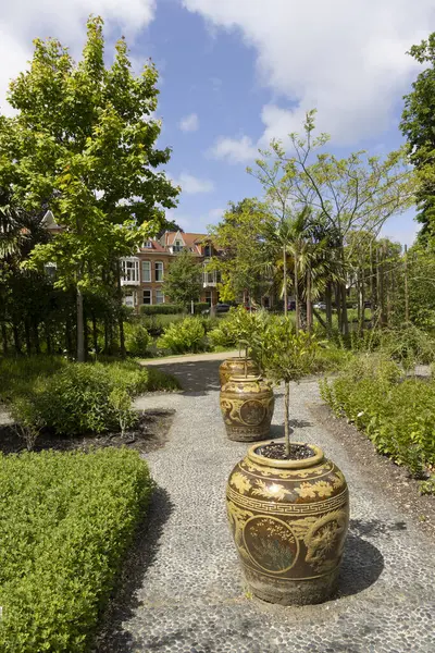 Leiden, Hollanda - 25 Mayıs 2025: Hollanda, Güney Hollanda 'da Hortus Botanicus Leiden' da turunçgil ağaçlarıyla süslenmiş Çin bahçesi