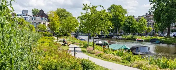 Leiden, Hollanda - 26 Mayıs 2025: Öğrenci kenti Leiden 'ın sokaklarında çömlek ve bitkilerle panoramik şehir manzarası Hollanda