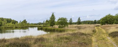 Doğa koruma alanı Heathland ile Hijkerveld, Drenthe Hollanda 'da Midden-Drenthe belediyesinde Hijken en Laaghalen yakınlarında doğal gölet ve yol