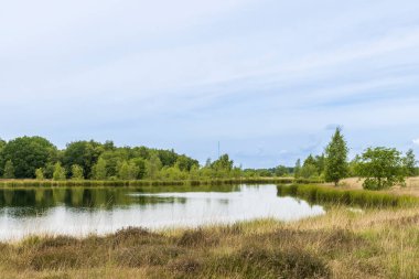 Doğa koruma alanı Heathland ile Hijkerveld, Drenthe Hollanda 'da Midden-Drenthe belediyesinde Hijken en Laaghalen yakınlarında doğal gölet ve yol