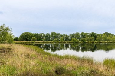 Doğa koruma alanı Heathland ile Hijkerveld, Drenthe Hollanda 'da Midden-Drenthe belediyesinde Hijken en Laaghalen yakınlarında doğal gölet ve yol