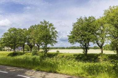 Hollanda, Drenthe 'de Beilen yakınlarındaki Oranje kanalı boyunca uzanan kuzen kırsal arazisi