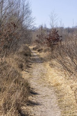 Westerbork, Hollanda - 5 Nisan 2025: Hollanda plasentası ve Drenthe patika rota işareti Drenthe Hollanda 'da geleceğin ormanı