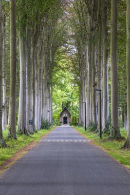Flanders Belçika, Brugge yakınlarındaki ağaçlık caddenin sonunda küçük bir dua evi olan güzel park kalesi Tillegem.