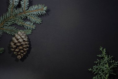 Noel temalı iki Noel ağacı ve siyah arka planda bir köknar konisi ve boş bir alan - köknar dalı