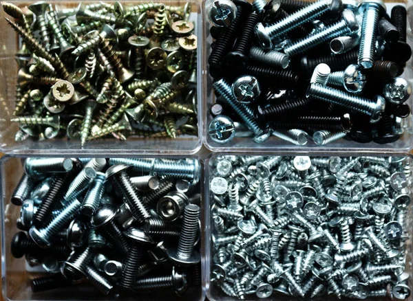 photo - close-up top view - wood screws gold and steel - and screws for hex and cross wrench - in boxes