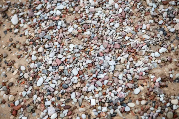 Stock image Close-up photo with small seaside rocks near Baltic Sea. Photo taken on a cloudy, gray tone day. Scandinavia style, Latvia.