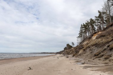 Baltık deniz kıyı şeridi kıyı şeridi geniş açı görüşü. Fotoğraf Letonya, Baltık İskandinavya tarzında bulutlu bir sonbahar gününde çekildi..